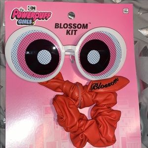 The Powerpuff Girls Blossom Kit